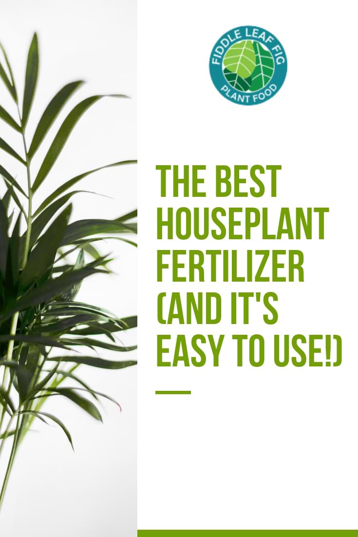 Houseplant Fertilizer Cand