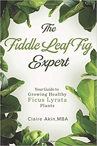 The Fiddle Leaf Fig Expert