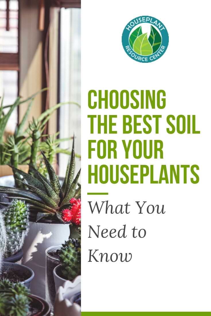 Choosing the Best Soil for Your Houseplants: What You Need to Know