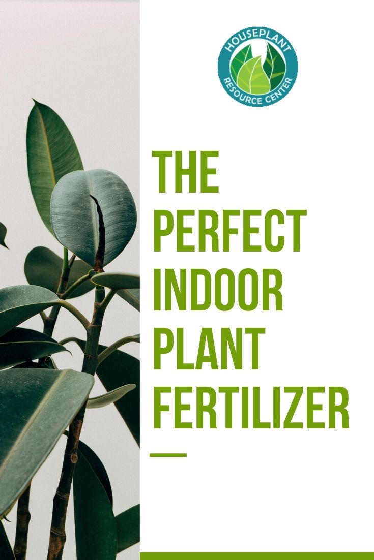 The Perfect Indoor Plant Fertilizer - The Houseplant Resource Center