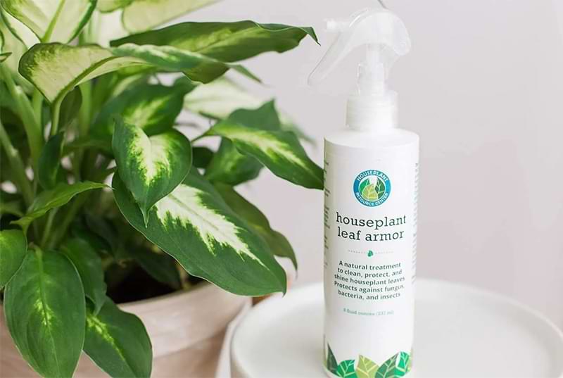 Protect your plants with Leaf Armor. A safe and non-toxic product that safely shines your leaves and protects against fungus, bacteria, and insects.