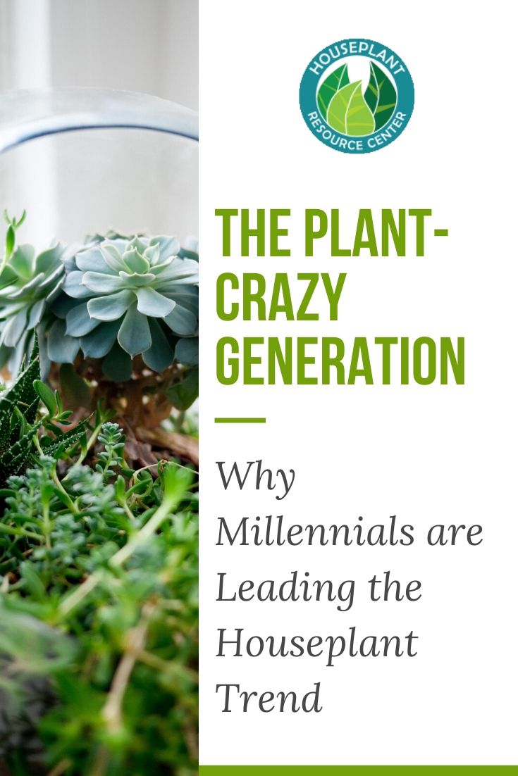 Why Millennials are Leading the Houseplant Trend - Houseplant Resource Center