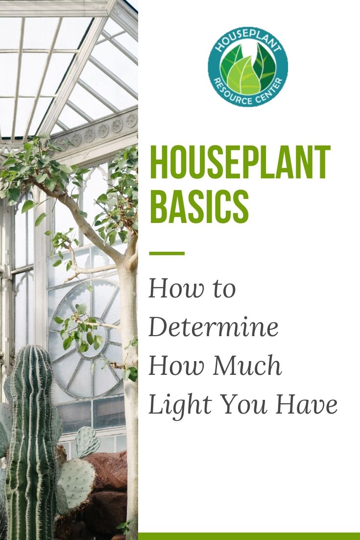 How to Determine How Much Light You Have - Houseplant Resource Center
