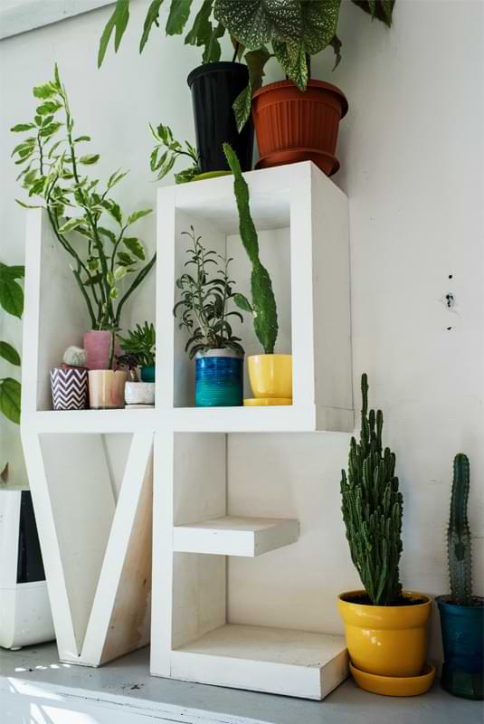 Decorating with Houseplants