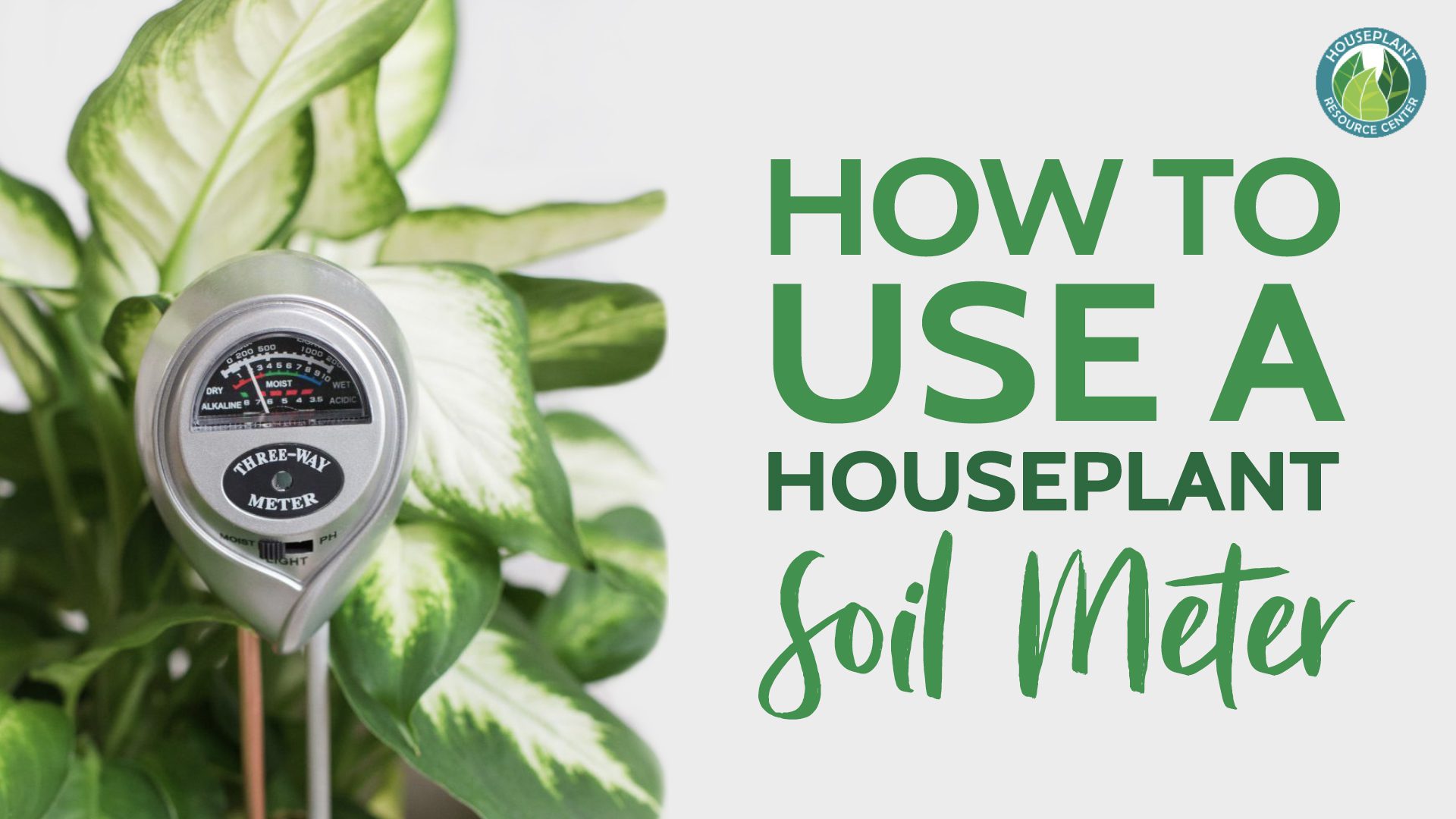 How to Use a Houseplant Soil Meter