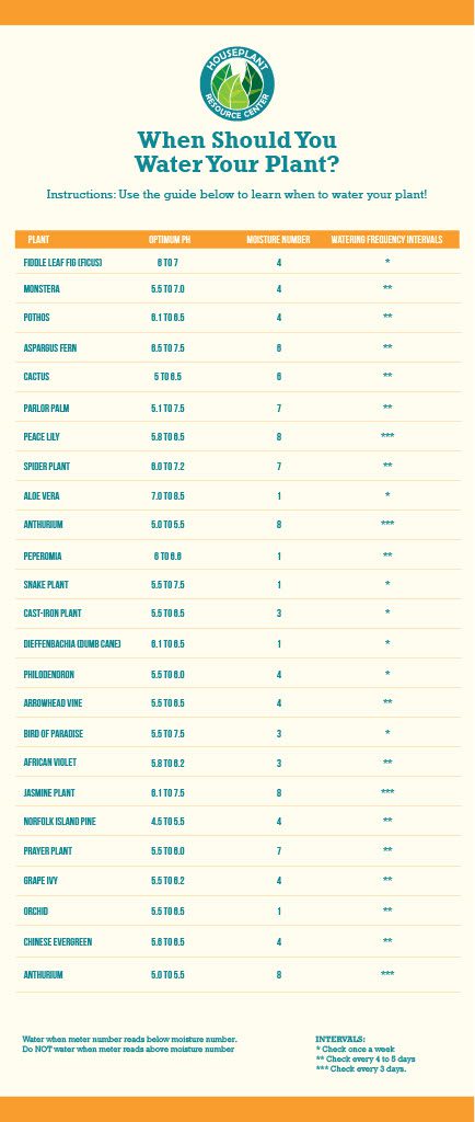 Moisture Meter Chart for Houseplants 