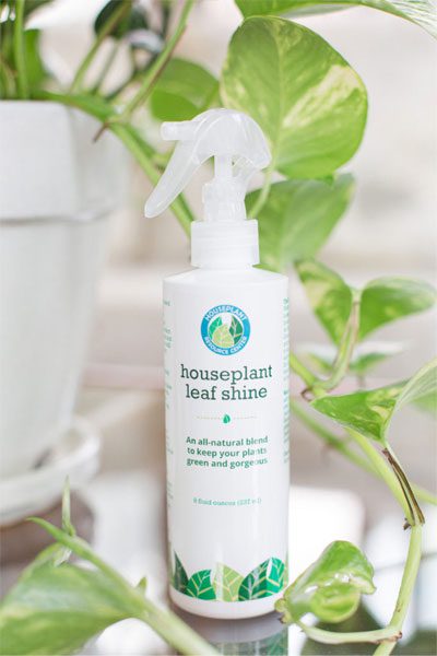 Properly clean your plant's leaves and make plant leaves shiny and glossy with Leaf Shine, our gentle spray for houseplants.