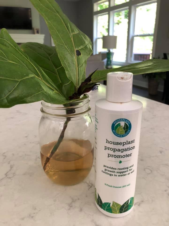 upercharge plant growth with this easy to use houseplant propagation promoter