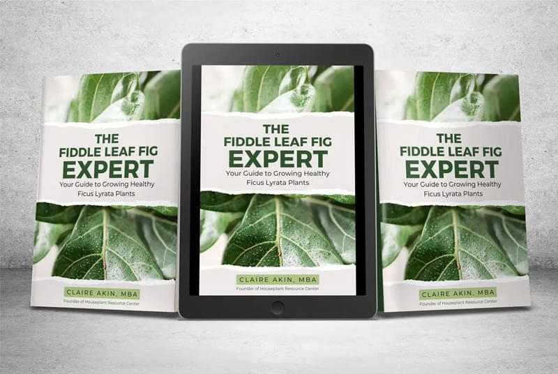 The Fiddle Leaf Fig Expert Book