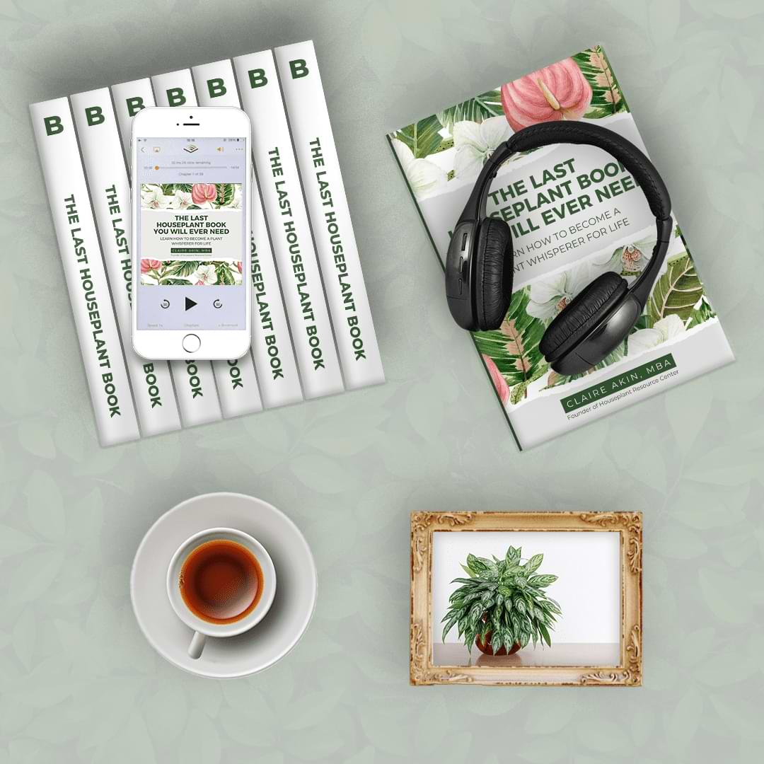 Tired of watching your houseplants struggle? Read these best audiobooks about plants and learn the secrets to becoming a master gardener.