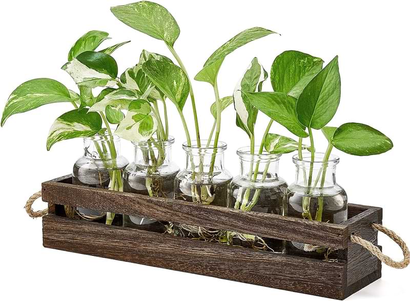 Don’t let a houseplant lover go another holiday season without these amazing houseplant gifts that guarantee the very best in care and style.