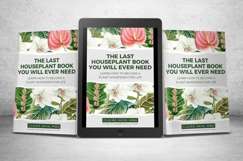The Last Houseplant Book