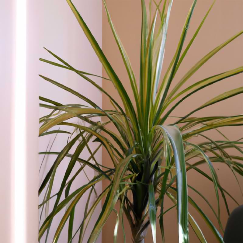 Interior design trends in a modern office with Dracaena Marginata and a palm tree painting, enhancing workplace aesthetics.